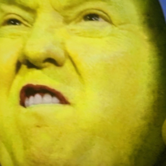 Meet your Posher, Preston - Picture 1 of 1